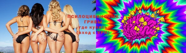 ALPHA-PVP Елизово