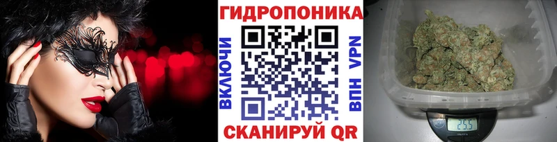 darknet состав  Зеленогорск  Бошки марихуана план 